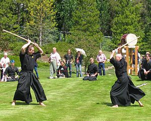 japanese sword fighting