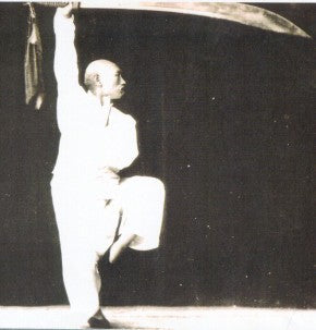 Exploring the Traditional Chinese Martial Art Baguazhang