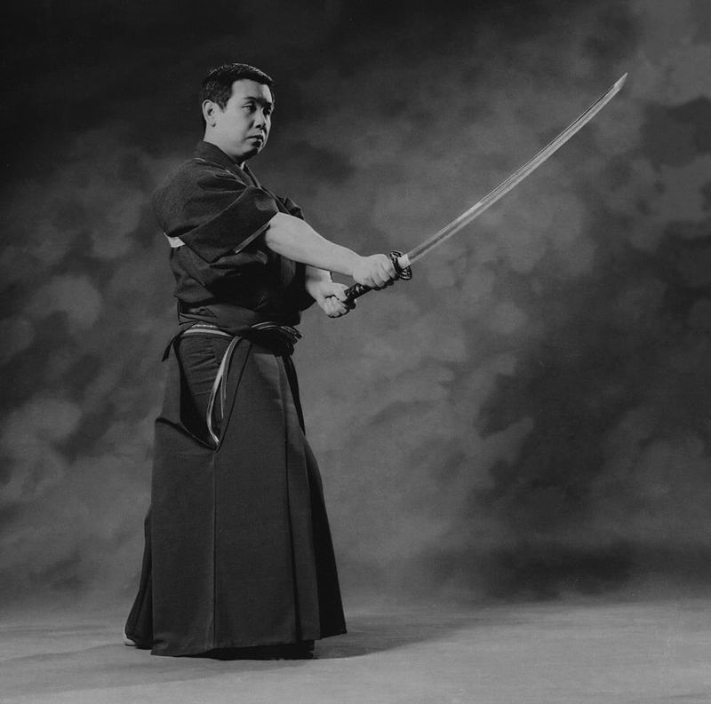What Is the Ryushin Shouchi Ryu School of Martial Arts?