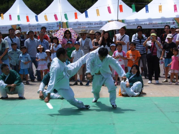 History of Korean Taekkyeon