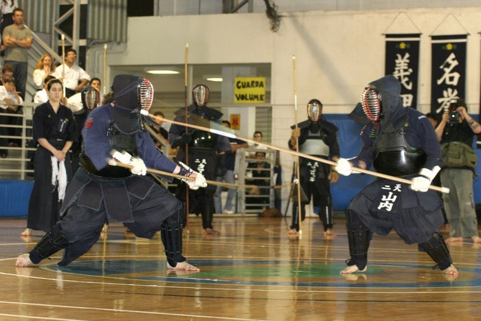 5 Fun Facts About the Japanese Martial Art Naginatajutsu