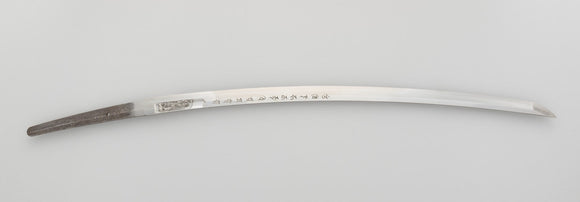 How to Read a Sword Spec Sheet: Length, Curve, Thickness and Balance