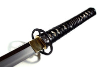 Kame Katana - high quality sword from Martialartswords.com