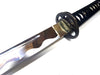 Antiqued L6 Haidong Kagum - high quality sword from Martialartswords.com