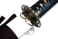 Korean L6 steel jingum (antiqued Vine II fittings, spare scabbard) - high quality sword from Martialartswords.com