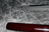 L6 Korean sword (pine tree hand guard) - high quality sword from Martialartswords.com