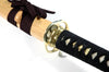 Jingum (clear lacquer scabbard) - high quality sword from Martialartswords.com