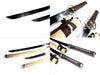 Turtle jingum (long and short) - high quality sword from Martialartswords.com